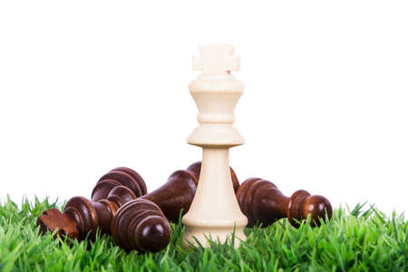 Victory, queen defeats dark pawns on grass, isolated on white background.の写真素材