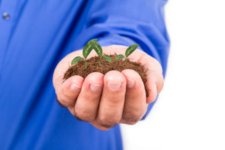 Businessman hand holding pile of soil and green plant for growing, isolated on white background.