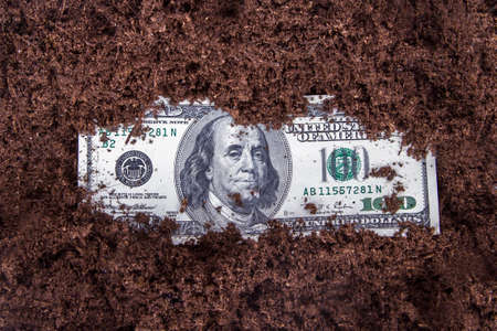 Growth concept, One hundred dollar bill banknote growing in soil.の写真素材
