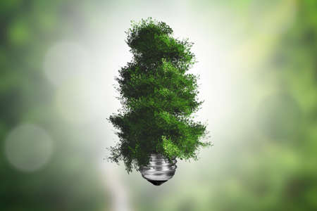 Ecology concept, light bulb with green tree growing on green blurry .の写真素材