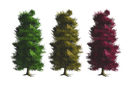 Trees with different variations, isolated on white background.の写真素材