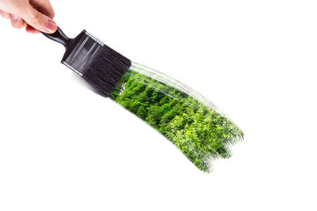 Male hand holding paint brush and painting landscape of green forest with trees, isolated on white background.の写真素材