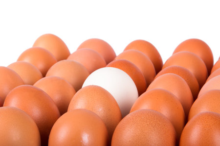 Healthy organic eggs, white one standing out, isolated on white background.