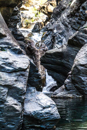 River in forest in nature with stones, rocks and trees.の写真素材
