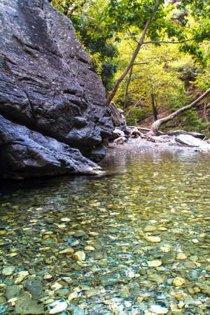 River in forest in nature with stones, rocks and trees.の写真素材