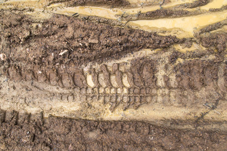 Wheel track on dirt road.の写真素材