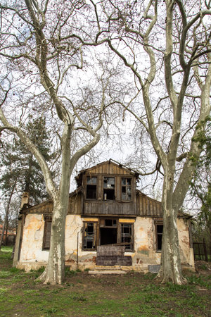 Front view of abandoned old building with dead trees.の写真素材