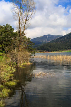 Beautiful trees in meadow area with the reflection of it in water by the coastline of a lake or river, under cloudy sky.の写真素材