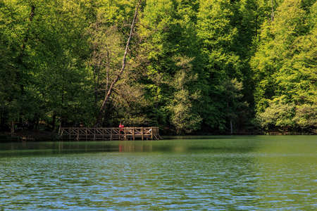 BOLU, TURKEY - MAY 11, 2015 : Landscape of people hanginbg around Yedigoller Lake National Park surrounded by big trees.のeditorial素材