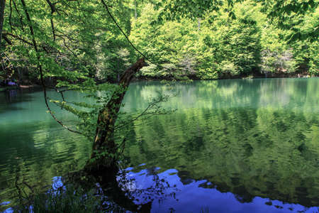 BOLU, TURKEY - MAY 11, 2015 : Landscape of people hanginbg around Yedigoller Lake National Park surrounded by big trees.のeditorial素材