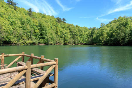 Close up view of wooden pier in lake side among big trees, on blue sky background.の写真素材