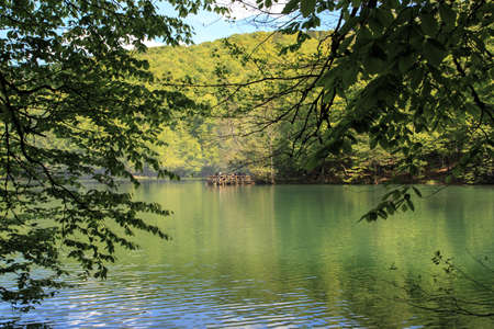 BOLU, TURKEY - MAY 11, 2015 : Landscape of people hanginbg around Yedigoller Lake National Park surrounded by big trees.のeditorial素材