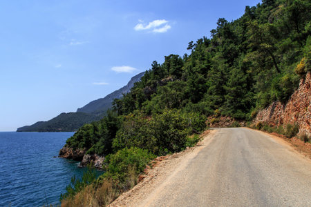 Front view of asphalt road with the view of blue sea and small trees.の写真素材