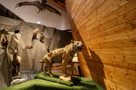 General view of mounted animals exhibited in Prague National Museum.のeditorial素材