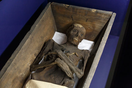 Close up detailed view of a human body mummy exhibited in Prague National Museum.