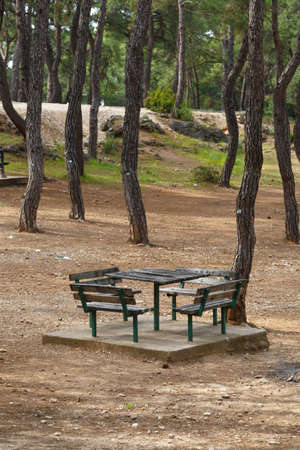 View of natural park with table and benches around big trees.の写真素材
