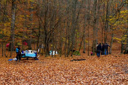 BOLU, TURKEY - NOVEMBER 16, 2014: People camping in forest with fallen leaves, autumn season in Yedigoller. Yedigoller is national park in Bolu, Turkey.の写真素材