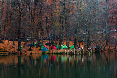 BOLU, TURKEY - NOVEMBER 16, 2014: People camping in forest with fallen leaves, autumn season in Yedigoller. Yedigoller is national park in Bolu, Turkey.のeditorial素材