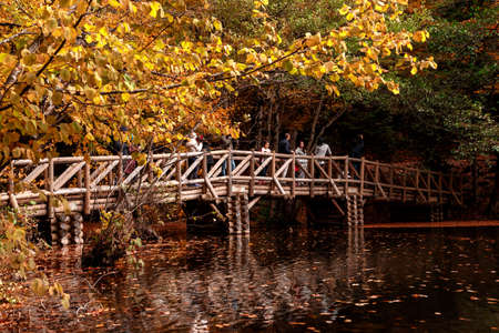 BOLU, TURKEY - NOVEMBER 06, 2016: View of people in forest with wooden bridge, fallen leaves and lake in Yedigoller. Yedigoller, also known seven lakes, is national park in Bolu, Turkey.のeditorial素材