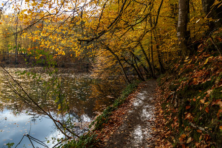 View of people in forest with fallen leaves and lake with reflection in Yedigoller. Yedigoller, also known seven lakes, is national park in Bolu, Turkey.の写真素材