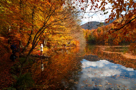 BOLU, TURKEY - NOVEMBER 06, 2016: View of people in forest with fallen leaves and lake with reflection in Yedigoller. Yedigoller, also known seven lakes, is national park in Bolu, Turkey.の写真素材