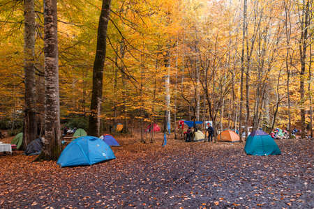 BOLU, TURKEY - NOVEMBER 06, 2016: People camping in forest with fallen leaves, autumn season in Yedigoller. Yedigoller, also known seven lakes, is national park in Bolu, Turkey.のeditorial素材