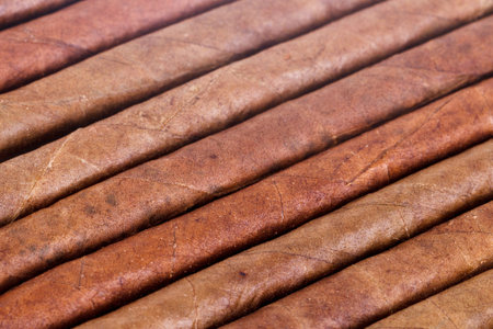 Chocolate cigars in row as background.の写真素材