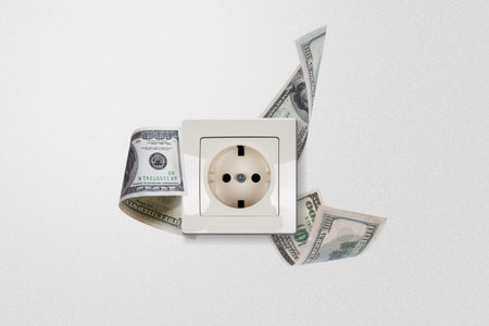 Close up detailed view of white jack  with dollar banknotes around isolated on white background.