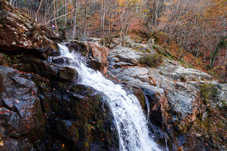 Front view of streaming waterfall with foams in deep forest in autumn season.のeditorial素材
