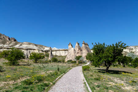 View of famous sandy fairy chimneys in Pasabagi Monks Valley, Cappadocia area, on bright blue sky background.の写真素材