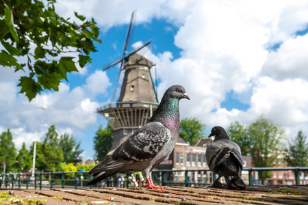AMSTERDAM, NETHERLANDS - JULY 3, 2016 : View of famous historical De Gooyer Windmill on cloudy sky. Amsterdam is popular with windmills.のeditorial素材
