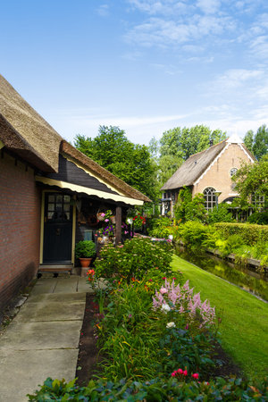 View of traditional village house in farm with trees and grass around, on blue sky background.の写真素材