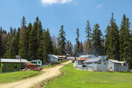 General view of Purenli Plateau with mountain houses in meadow area and big pine trees around on bright sky background.の写真素材