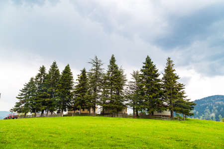 View of mountain house among big trees at the top of a plateau on cloudy sky background.の写真素材