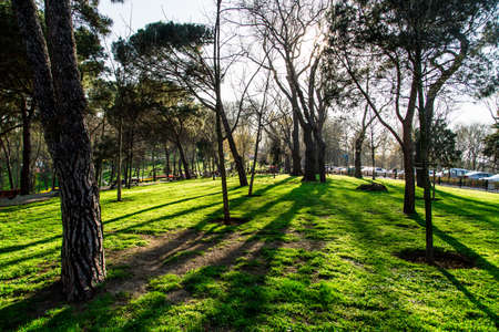 General view of Emirgan Parc with big trees and people hanging around. It is popular with tulip gardens.の写真素材