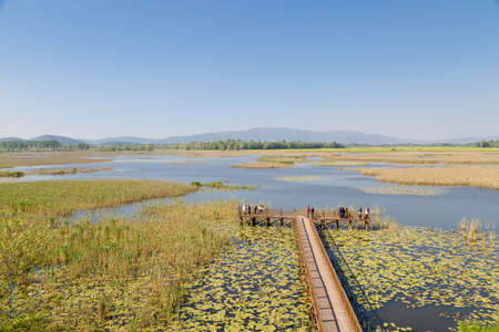 Panoramic view of Efteni Lake from observation tower with water lily and long pier in Duzce, Turkey.の写真素材