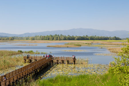 DUZCE, TURKEY - APRIL 29, 2017 : Efteni Lake with water lily and long pier in Duzce, Turkey.のeditorial素材