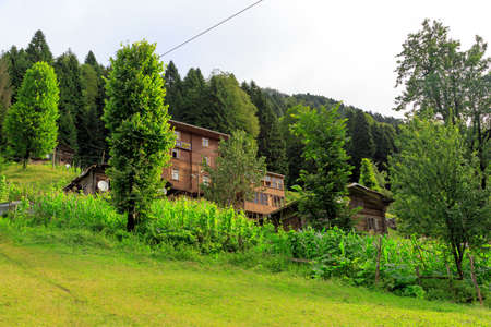 RIZE, TURKEY - AUGUST 16, 2016 : General landscape view of famous Ayder Plateau in Camlihemsin, Rize. Ayder Plateau has wide meadow area with wooden mountain houses at 1350 meters of height.のeditorial素材