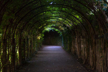 SALZBURG, AUSTRIA - SEPTEMBER 13, 2016 : Colorful beautiful garden view of Mirabell Palace with decorative pools and sculptures. Mirabell Palace is one of the most popular tourist attractions in Salzburg.のeditorial素材