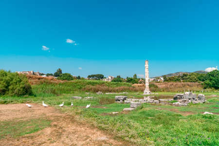 One of seven wonder of ancient world ruins of temple of Artemis in Ephesus Ancient City, Selcuk, IzmÄ±r, Turkey.の写真素材