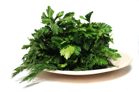 A bunch of parsley on a platter with dill. Close-up. Isolated on a white background.の写真素材