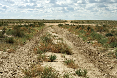 Groundwater road in the desert steppe noon 