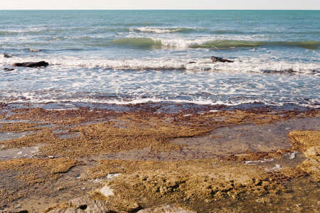 Rocky shore of the Caspian Sea. Winter season.の写真素材