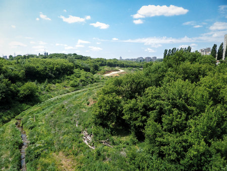 Stream at the bottom of a green ravine. 18 June 2019 year. Russia. City Lipetsk. Stone log ravine.