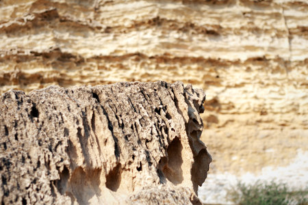 Surface sandy rock. Rocky shore of the Caspian Sea.