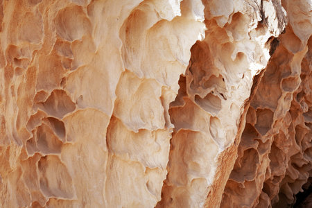 Surface sandy rock. Rocky shore of the Caspian Sea.