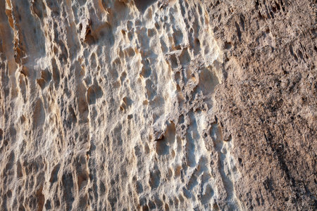 Surface sandy rock. Rocky shore of the Caspian Sea.