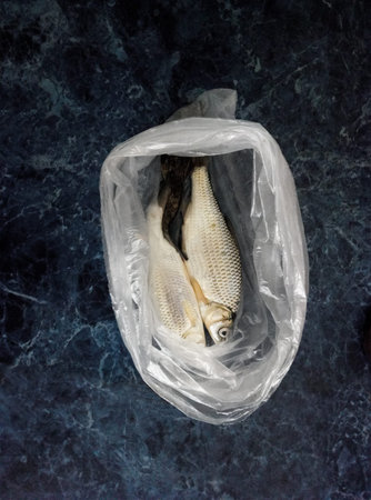Fishes in a cellophane bag. View from above.