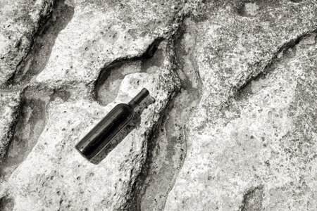 Bottle of wine on the rocky shore of the Caspian Sea.の写真素材