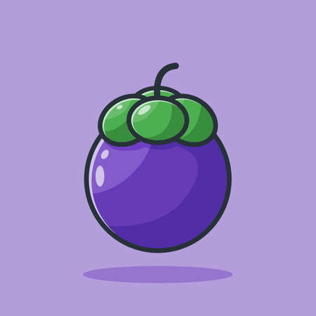mangosteen fruit icon vector illustration designのイラスト素材